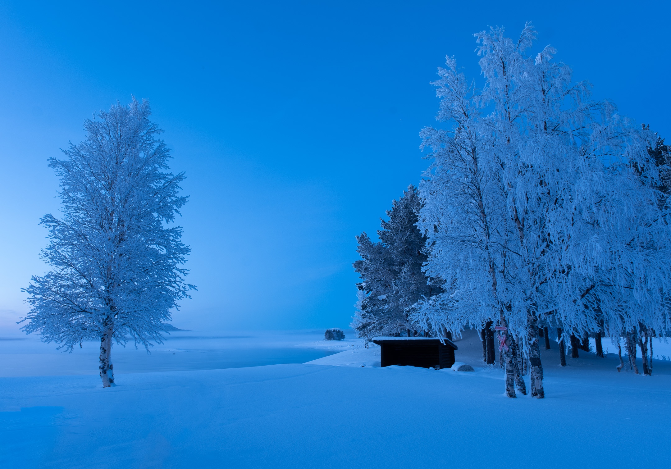 Zweeds lapland -26 graden