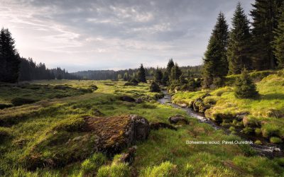 Maak een camperreis naar Tsjechië afbeelding