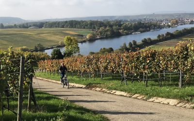 Zwerven langs de Neckar afbeelding