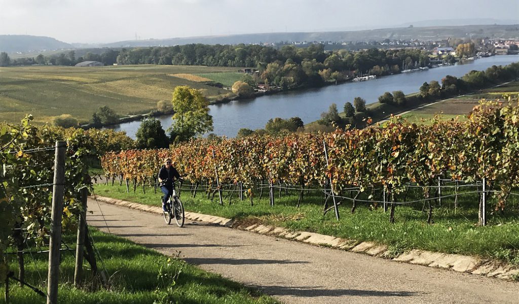 Zwerven langs de Neckar afbeelding